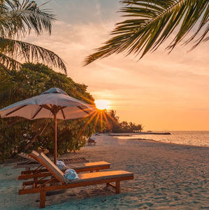 Meet your Posher, Abigail